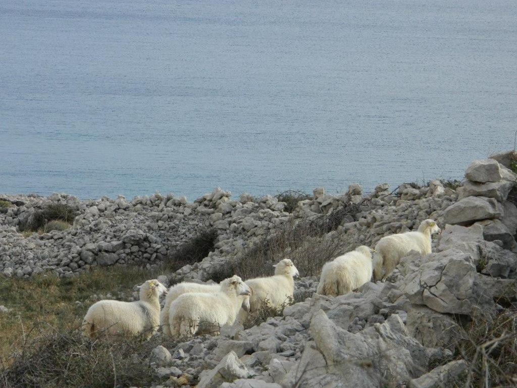 Ferienwohnung Libera1 Stara Baška Exterior foto
